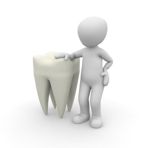 Servizi Odontoiatrici - Convenzione